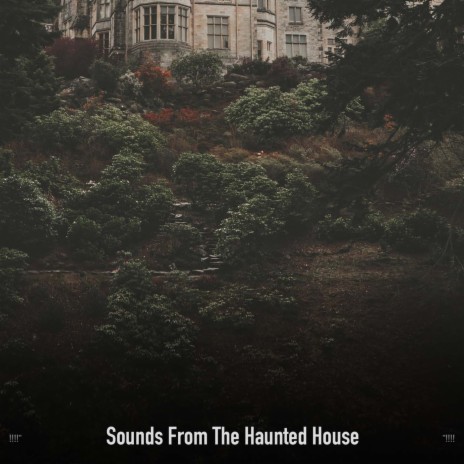 Screaming Witch Sounds ft. Halloween Sounds Collective | Boomplay Music