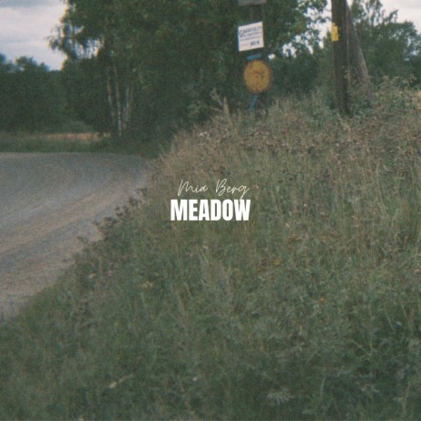 Meadow | Boomplay Music