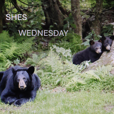 SHES WEDNESDAY | Boomplay Music