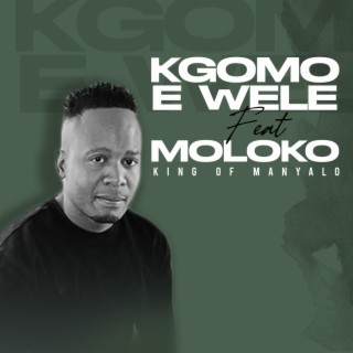 Kgomo e wele