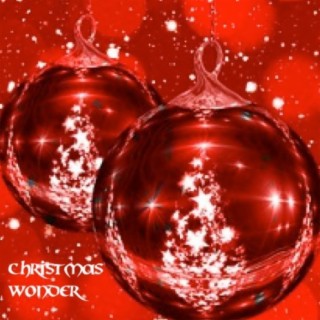 Christmas Wonder