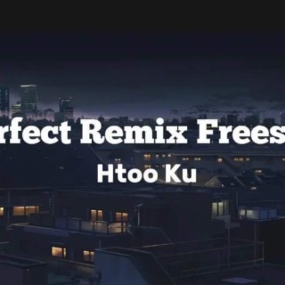 Perfect Remix FreeStyle