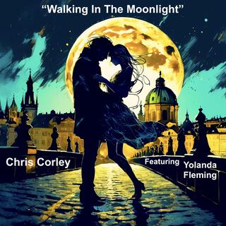 Walking In The Moonlight