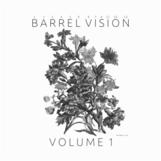 Barrel Vision: Volume 1