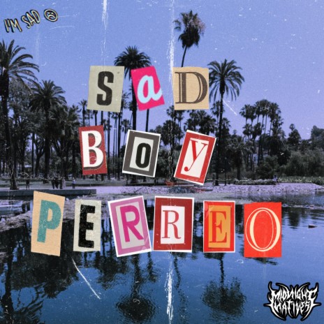 Sad Boy Perreo | Boomplay Music