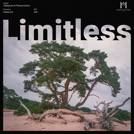 Limitless ft. Thessa Carina | Boomplay Music