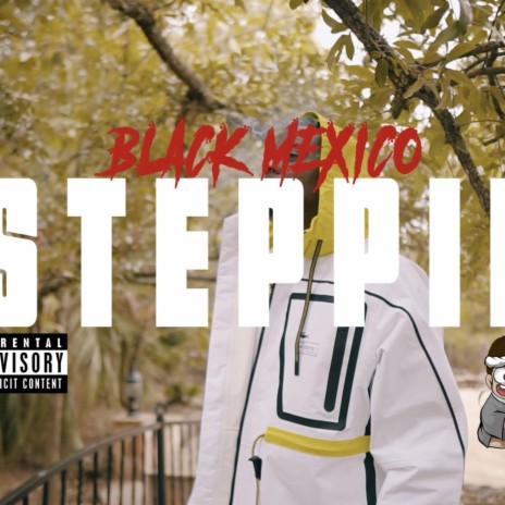 STEPPIN | Boomplay Music