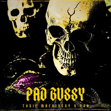 Pad Bussy ft. USH | Boomplay Music