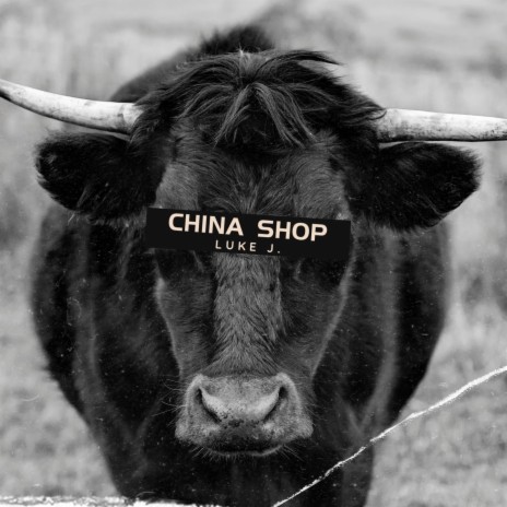 China Shop