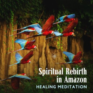 Spiritual Rebirth in Amazon: Healing Meditation with Beautiful Soundscapes, Journey to the Earth Anahata, Deep Tropical Forest Music