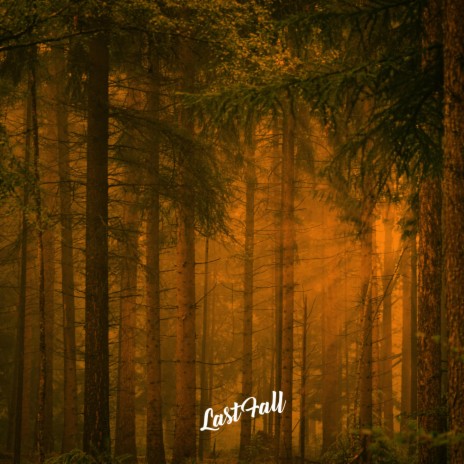 Last Fall | Boomplay Music