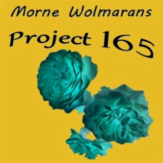 Project 165