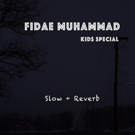Fidae Muhammad | Boomplay Music