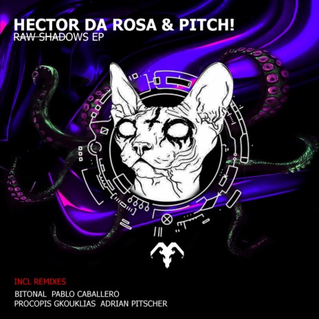 Raw Shadows (Pablo Caballero remix) ft. Pitch! | Boomplay Music