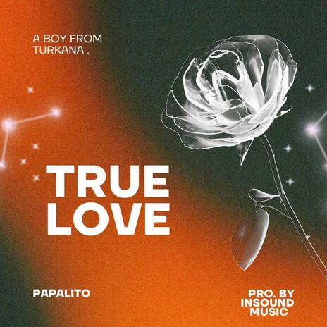 True Love | Boomplay Music