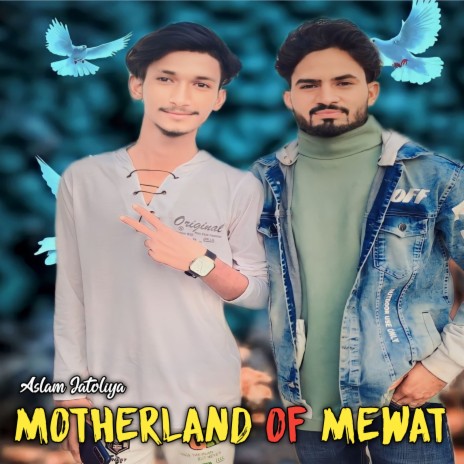 Motherland Of Mewat