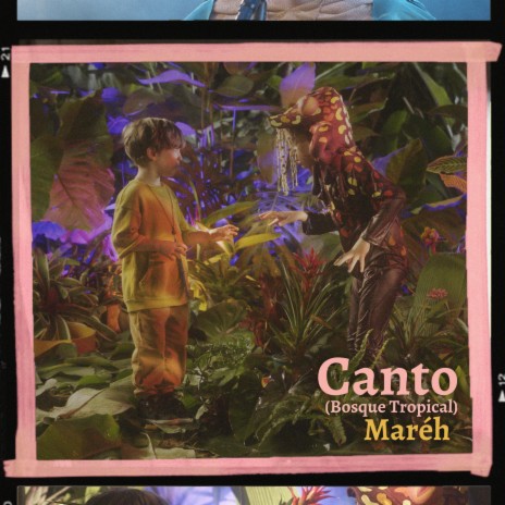 Canto (Bosque Tropical)