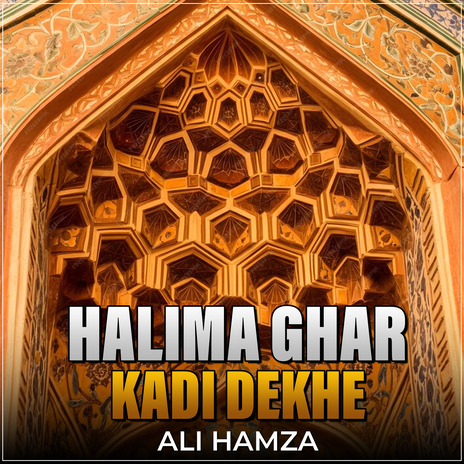 Halima Ghar Kadi Dekhe | Boomplay Music