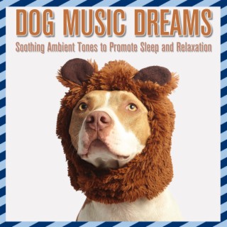 Dog Music Dreams: Soothing Ambient Tones to Promote Sleep and Relaxation