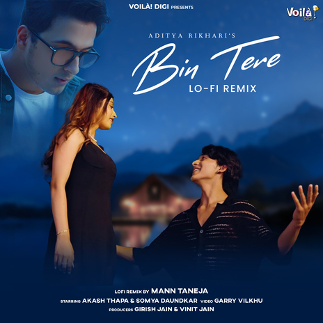 Bin Tere (Lo-Fi Remix) | Boomplay Music