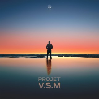 PROJET V.S.M