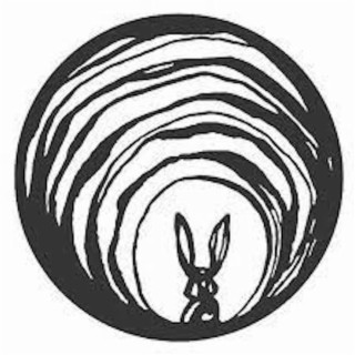 The Rabbit Hole