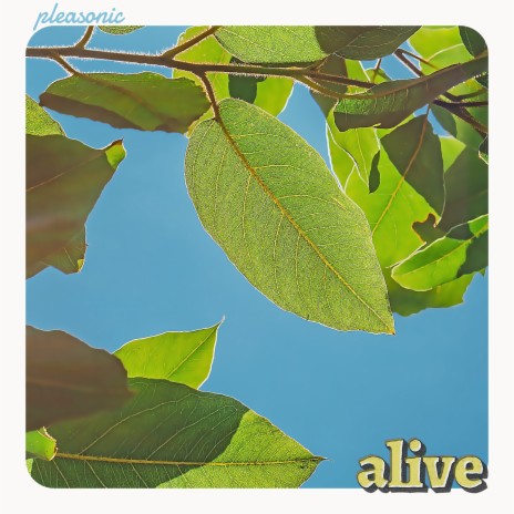 Alive | Boomplay Music