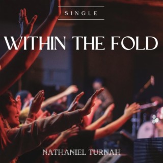 Within The Fold lyrics | Boomplay Music