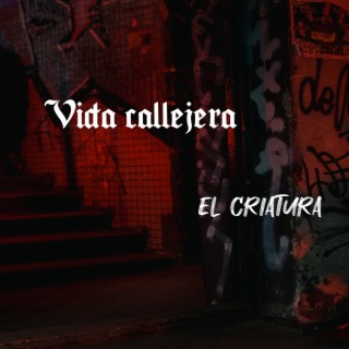 Vida callejera