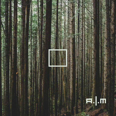 the wooden hearts of the forest | Boomplay Music