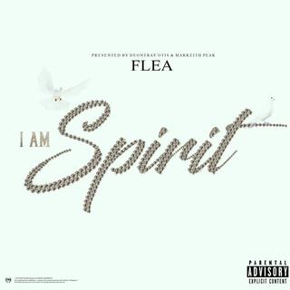 I AM SPIRIT