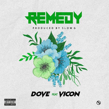 Remedy | Boomplay Music