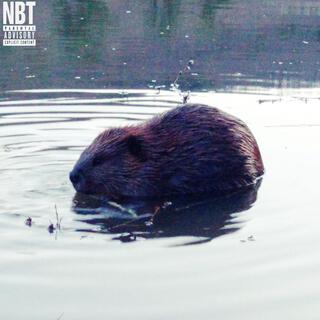 BEAVER