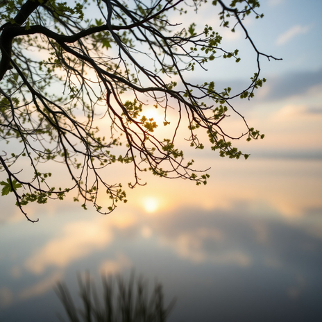 Color of the Wind (Meditation; Piano) | Boomplay Music