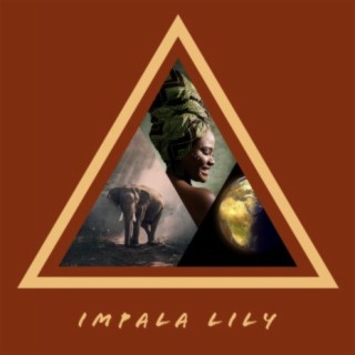 Impala Lily
