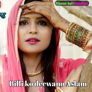 Billi Ko Deewano Aslam