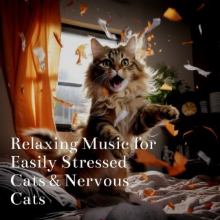 Relaxing Music for Easily Stressed Cats & Nervous Cats