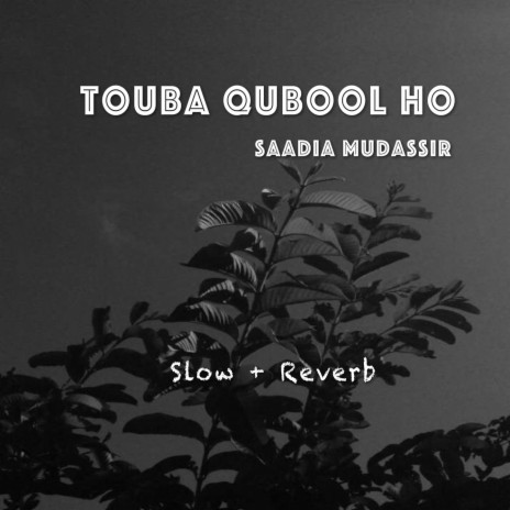 Touba Qubool Ho | Boomplay Music