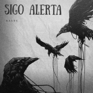 SIGO ALERTA lyrics | Boomplay Music