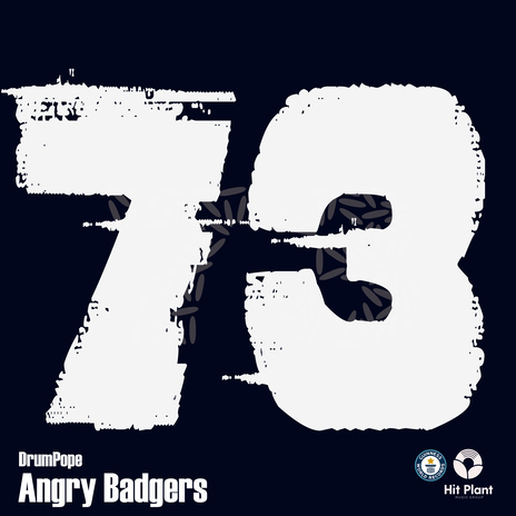 Angry Badgers | Boomplay Music