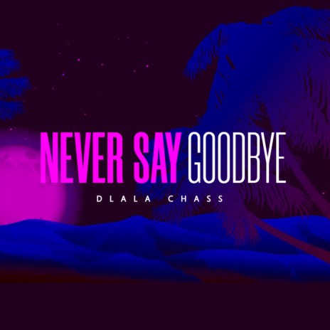 Never Say Goodbye | Boomplay Music