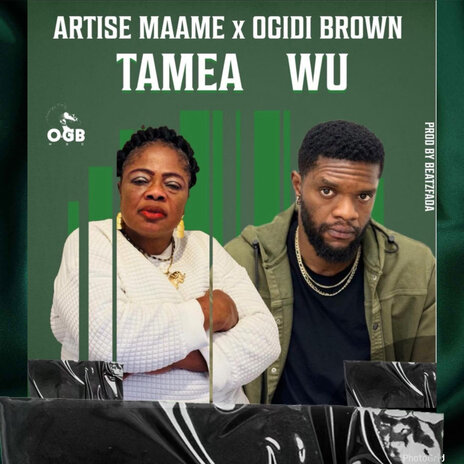 Tamea Wu ft. Ogidi brown | Boomplay Music