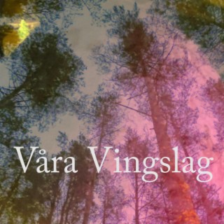 Våra Vingslag