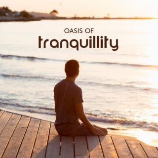 Oasis of Tranquillity: Soft Sounds for Mind and Body