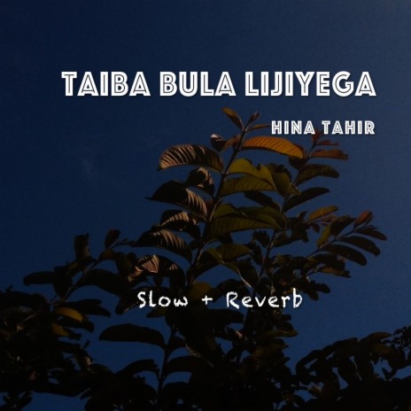 Taiba Bula Lijiyega | Boomplay Music