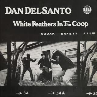 White Feathers In The Coop