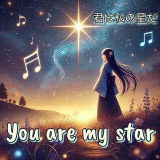 YOU ARE MY STAR lyrics | Boomplay Music