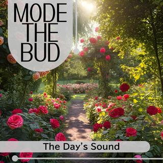 The Day's Sound