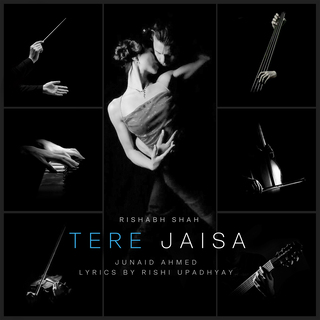 Tere Jaisa ft. Junaid Ahmed & Rishi Upadhyay lyrics | Boomplay Music