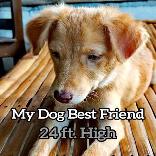 My Dog Best Friend lyrics | Boomplay Music